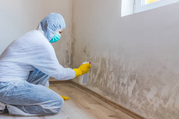 Mold inspector in McQueeney performing thermal imaging